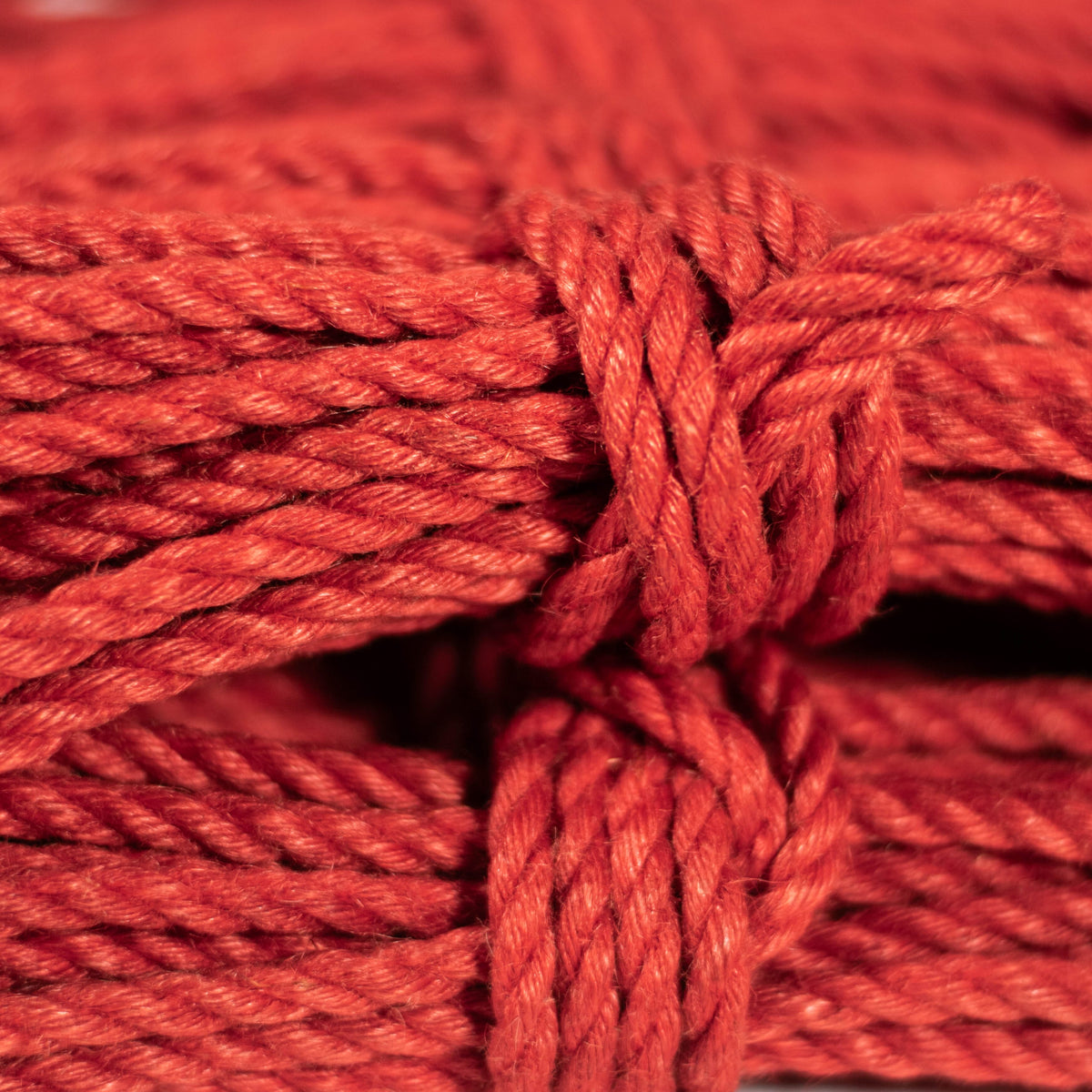 Cure Rope Choosing an oil for rope treatment – Anatomie Shop